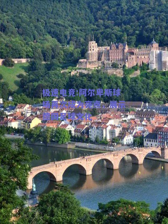 极速电竞:阿尔卑斯球场再次成为亮点，展示德国足球文化